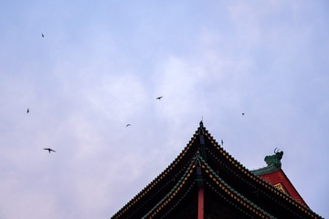 _DSC1318