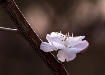 770436