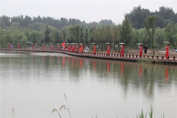 479532