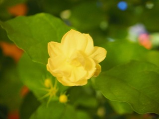 P8240003
