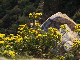 P9200206