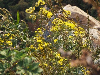 P9200207