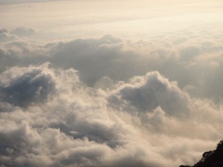P9200217