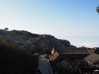 P9200245
