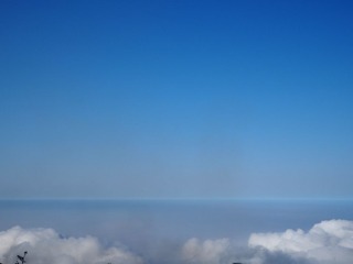 P9200248