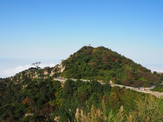 P9200267