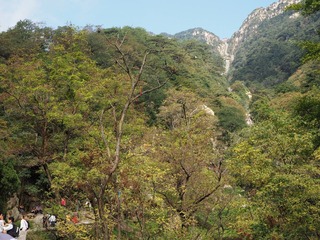 P9200303