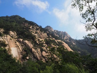 P9200305