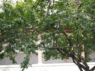 P9200320
