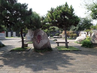 P9200324