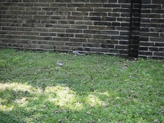 P9200330
