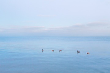 IMG_7135_2s