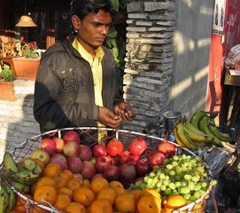 IMG_0929.jpg