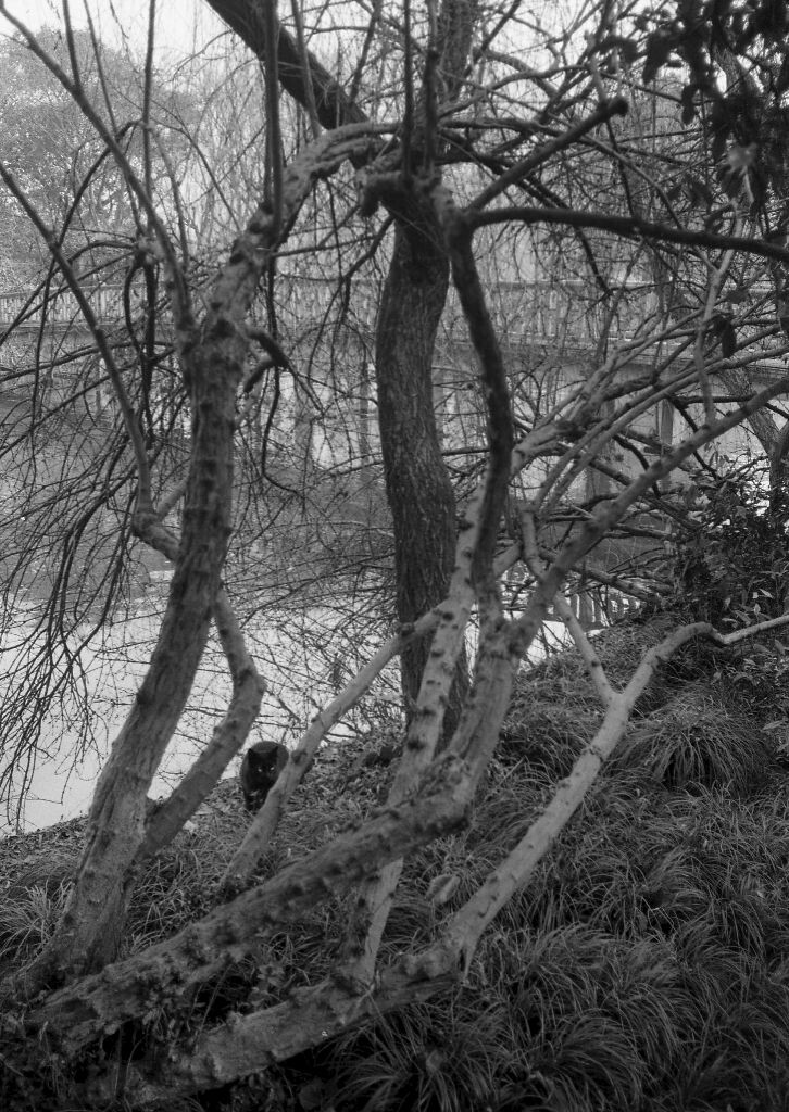 B&amp;W115<br />

