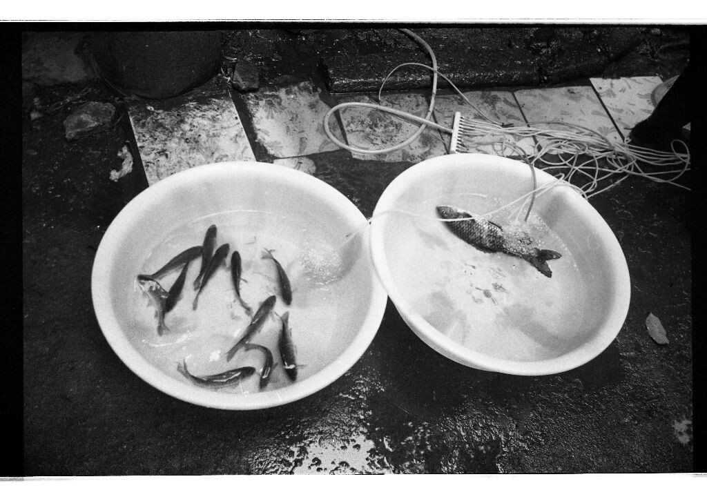 B&amp;W032<br />
