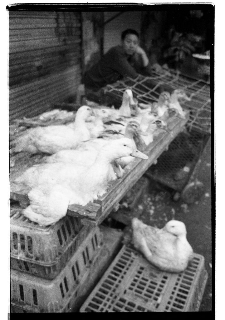 B&amp;W031<br />
