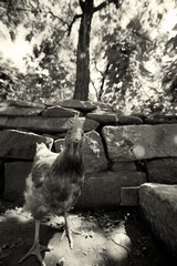 IMG_9172.jpg