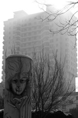 IMG_1681.jpg