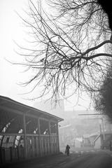 IMG_1740.jpg