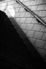 IMG_1747.jpg