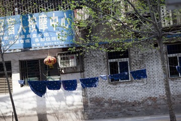 IMG_1986.jpg