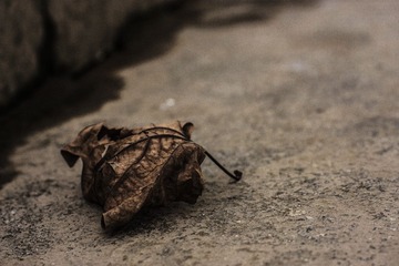 20131001.1