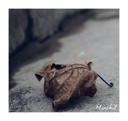 IMG_0044.3
