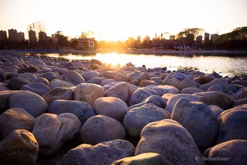 DSC01287-5.jpg.jpg