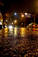 DSC01478.jpg