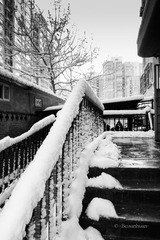 DSC01120.jpg
