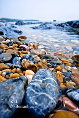 DSC02402.jpg