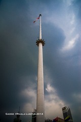 DSC_1263-5