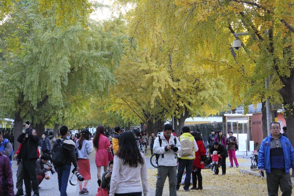 人们沉醉在五彩斑斓中