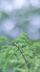 F6306B90-6604-4207-A554-B0E162BE1659/L0/001