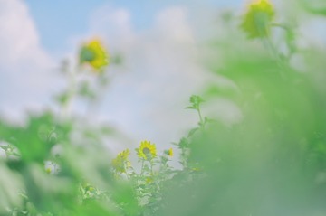15370F36-CB95-4DBF-A2AC-5523C92C508C/L0/001