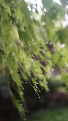 28759F05-ACBB-46DD-8814-E9ED354B9556/L0/001