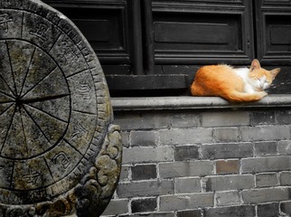 小猫与日晷