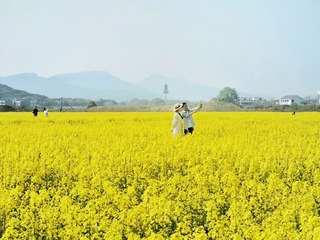 美好