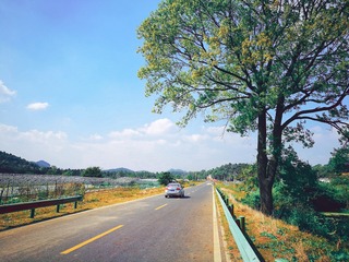 郊游