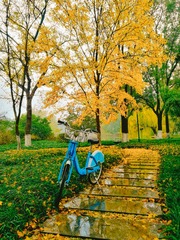 细雨