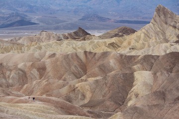 IMG_0858.jpg