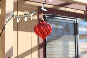 IMG_1135.jpg