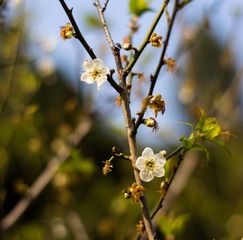 IMG_1193_副本.jpg