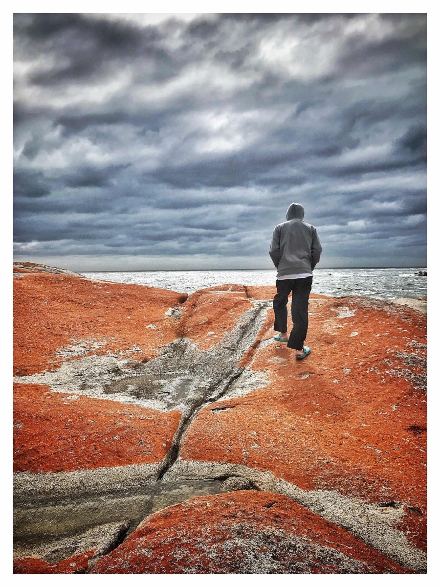 一个孤独漫步者的沉思