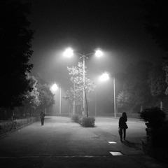 Fog