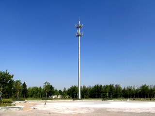 780061