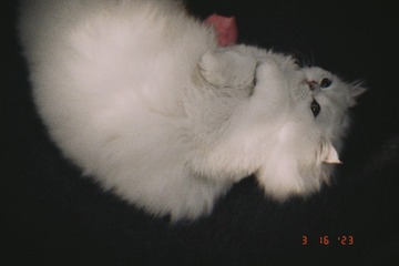 013BCC92-80BE-4601-8EFE-A477EF45C7CB/L0/001