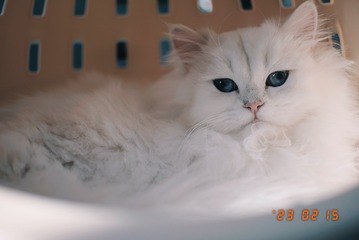 0101EC71-54C0-42BC-A470-C084FFFF2A46/L0/001