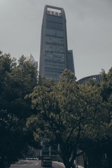 9C95B114-9B36-417C-934C-9EF3043D3D22/L0/001