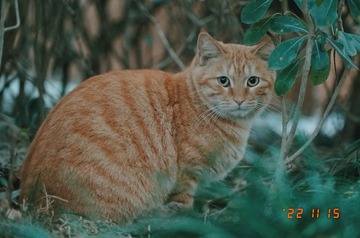 FB570CFC-B2EF-4ED0-B4B3-298BC7E7068D/L0/001